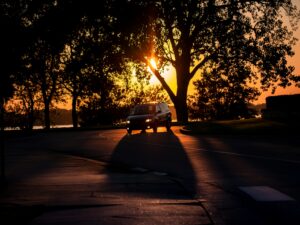 Emotional Dysregulation: Why Your Body Reacts First