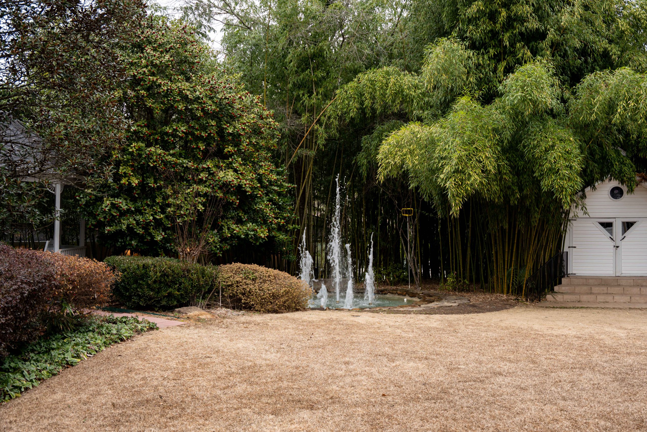 Garden fountain surrounded by bamboo and greenery on an Evoraa campus