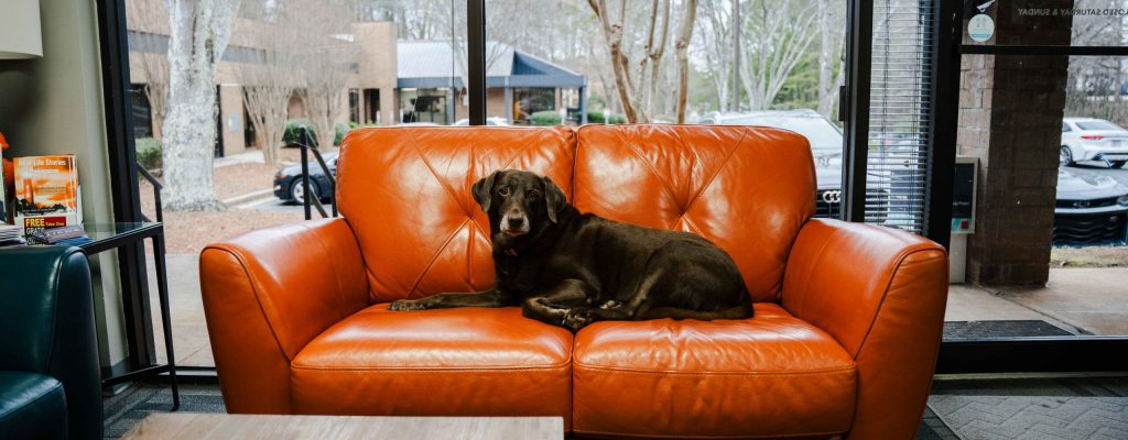 Peachtree Recovery Wellness - Alumni and Family services available at our recovery center.
